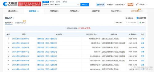 集度科技武漢公司被執行1.04億，互聯網信息服務行業風險警鐘長鳴