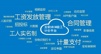 上海互聯(lián)網軟件集團 高端協(xié)同管理軟件與企業(yè)管理咨詢服務提供商